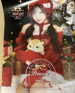 minamiちゃん プリモア クリスマスポスター - メルカリ
