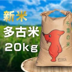 【新米】多古米 コシヒカリ 20kg 玄米（必ず商品説明をご覧ください）のサムネイル