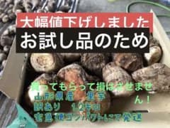 山形県産　里芋　訳あり1.2キロのサムネイル