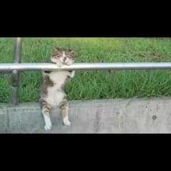ahy様のサムネイル