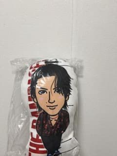 藤原樹 クッションのサムネイル
