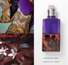 値下不可新品DRIES VAN NOTEN fleur du mal 10ml - メルカリ