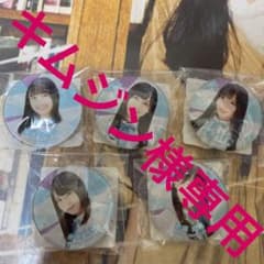 キムジン様専用 日向坂46 マグネットセットのサムネイル