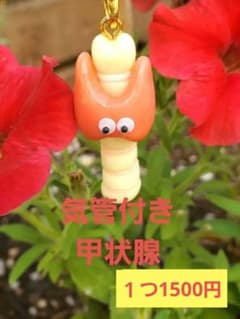 気管付き甲状腺 手作り 臓器 キーホルダー ハンドメイド - メルカリ