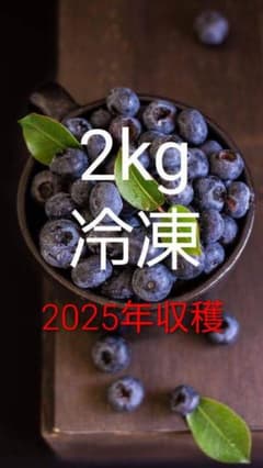 冷凍ブルーベリー2kgのサムネイル