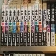 未来日記　全巻＋モザイク、パラドックスのサムネイル