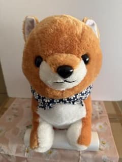 콩 시바 삼형제 봉제인형