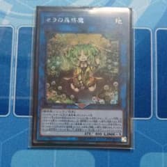 セラの蟲惑魔 シクのサムネイル