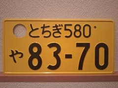 観賞用 普通車 ナンバープレート つくばナンバー 1枚 | Shop at