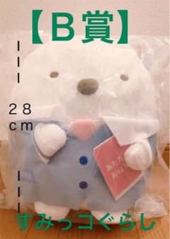すみっコぐらし学園  一番くじ【Ｂ賞】国語のしろくま先生ぬいぐるみのサムネイル