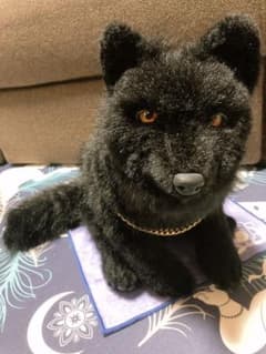 ぬいぐるみのサムネイル