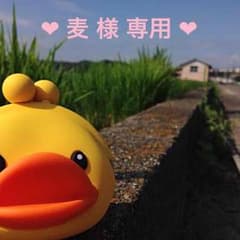 ❤︎麦様専用 ❤︎のサムネイル