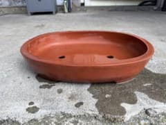 高級盆栽鉢 張氏製陶 朱泥外縁下紐楕円鉢 大物 45cm 宜興 紫泥 落款