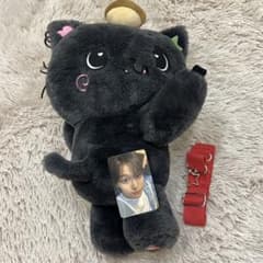 nct wish リク キャラクターバッグ ソウルコン MD カバン 公式 - メルカリ
