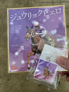 通販あり　転売品買う意味ある？　ジュウリョクピエロ　色紙　マーカー　今村聖奈 ジュウリョクピエロ×今村聖奈 色紙 アンブレラマーカー - メルカリ