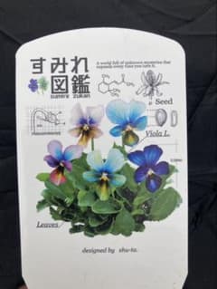 すみれ図鑑 ビオラ 濃い緑青 - メルカリ