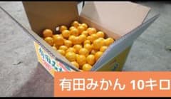 有田みかん 早生 小玉 2S3S混合 約10キロのサムネイル