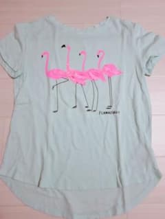GAP KIDS フラミンゴTシャツ キッズXLサイズのサムネイル