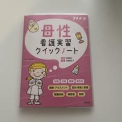 母性看護実習クイックノートのサムネイル