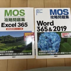 MOS攻略問題集 Excel 365 & Word 365&2019 2冊セットのサムネイル