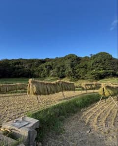 R7年度 兵庫県 南あわじ市産 お米10キロ 無洗米 - メルカリ