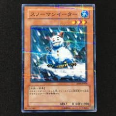 m26573885997_1.jpg?1727777910