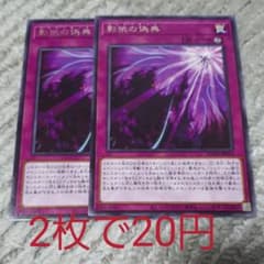フレディ昆布無理 様   専用のサムネイル