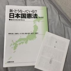 新・どうなっている!?日本国憲法 : 憲法と社会を考えるのサムネイル