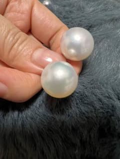 K14WG南洋白蝶真珠約ピアス 14-15mmのサムネイル