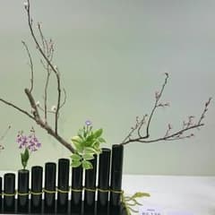 chocopu様☆専用のサムネイル