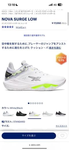 ノヴァサージのサムネイル