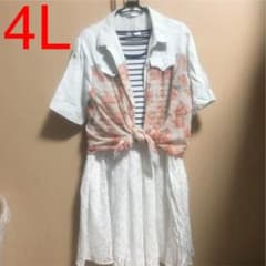 ふじ様専用    大きいサイズ 膝丈ワンピース 4L 春夏秋のサムネイル