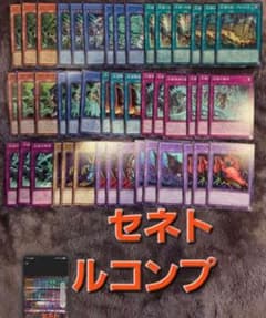遊戯王 セネト 新規 デッキパーツ 3コン まとめ売り フルコン - メルカリ