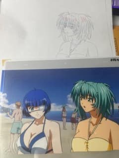 一騎当千 セル画 原画 動画 呂蒙子明 呂布奉先 アニメ フィギュア 直筆 