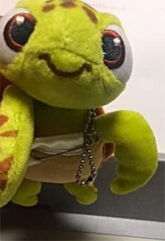 ぬいぐるみのサムネイル