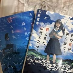 あの花が咲く丘で、君とまた出会えたら。 あの星が降る丘で、君とまた出会いたい。のサムネイル
