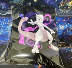 Lサイズ ポケモンGO フェス 2026 東京 パーカー Tシャツ 新品 - メルカリ