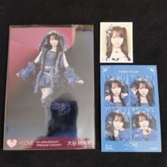 =LOVE 大谷映美里 9th ANNIVERSARY 生写真 4カットセットのサムネイル