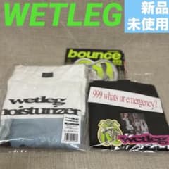 WETLEG Tシャツほか特典セット　 【新品未使用】 WETLEG Tシャツほか特典セット 【新品未使用】 - メルカリ