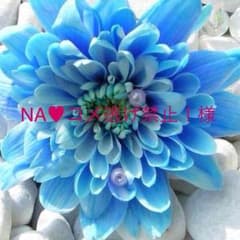 NA♥︎コメ逃げ禁止！様ご確認用のサムネイル