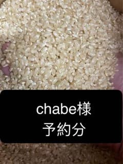 chaeb様　予約分 姫のサムネイル