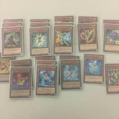 大会優勝あり SRWW 遊戯王のサムネイル