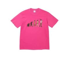 supreme 26ss Evolution Tee fuchsia Ｍサイズのサムネイル