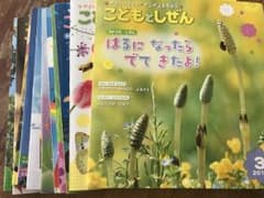 こどもとしぜん 4月号〜3月号 12冊 2017年度のサムネイル