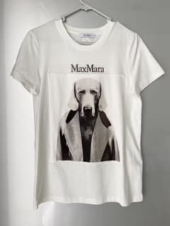 希少XSサイズ　MaxMara 犬プリント Tシャツ ホワイト 希少XSサイズ MaxMara 犬プリント Tシャツ ホワイト - メルカリ