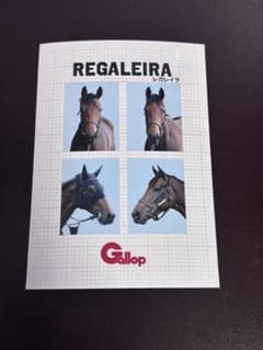 レガレイラ　Gallop フォトプラス　名馬証明写真風のサムネイル