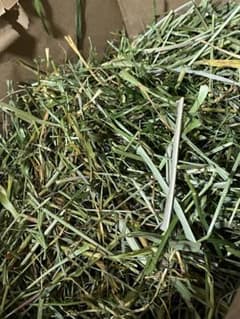 【SALE】うさぎのおやつ 乾燥野草 ミックスグラス(ミックス牧草)Bのサムネイル