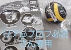ポケモン プロジェクターライトのサムネイル