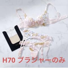 新品未使用タグ付きH70 サルート 71G ブラ PIのサムネイル
