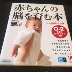 赤ちゃんの脳を育む本 : 0～2歳発達別カリキュラムつきのサムネイル